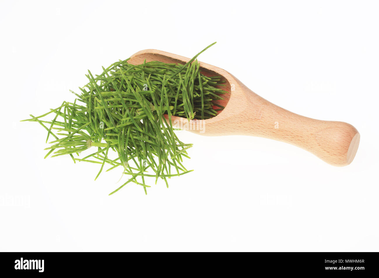 Horsetail in folk and traditional medicine 22 Horsetail in folk and traditional medicine 16