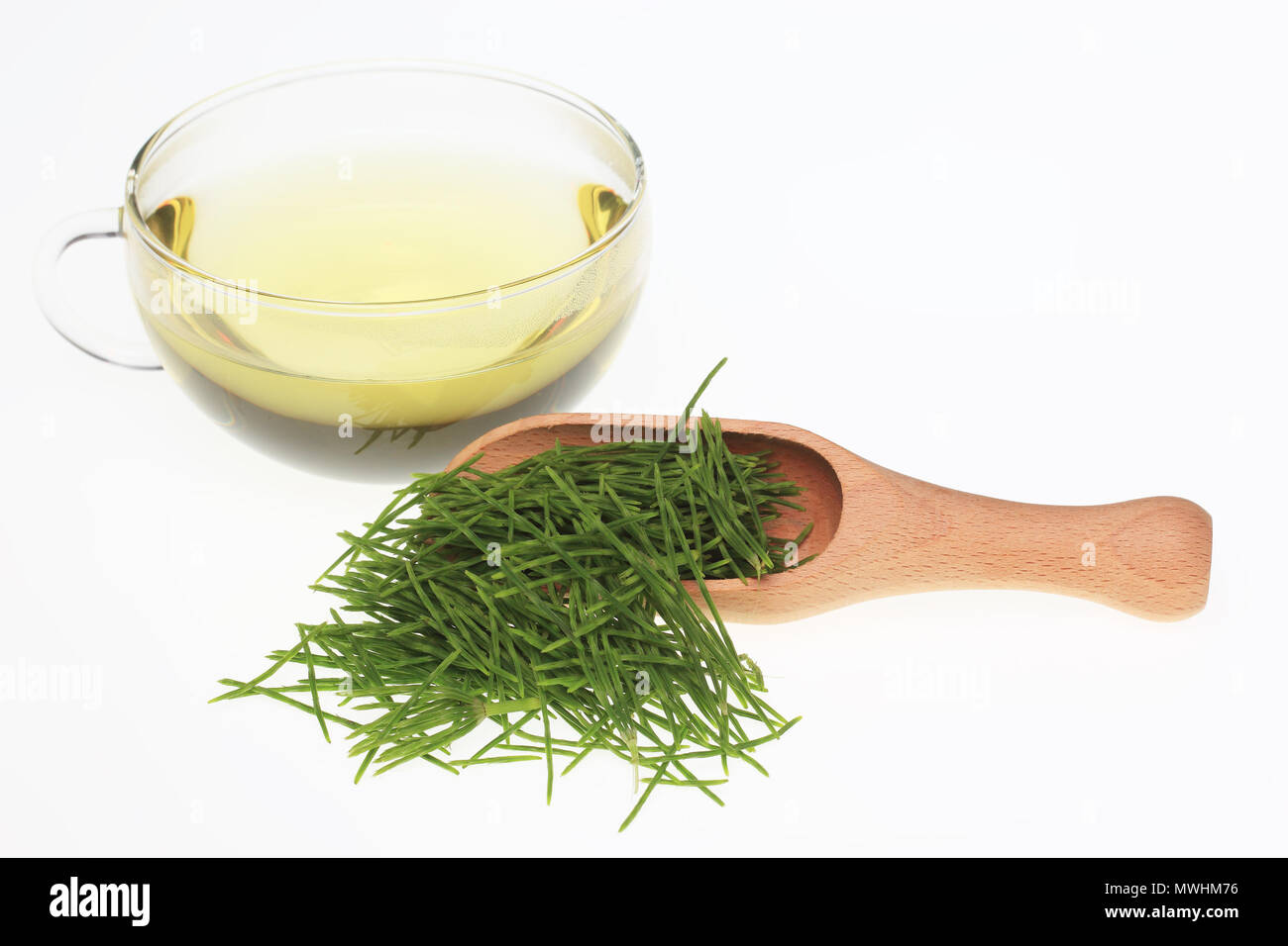 Horsetailtea, Tea, Medicinal tea, herbtea, Medicinal plant, Equisetum