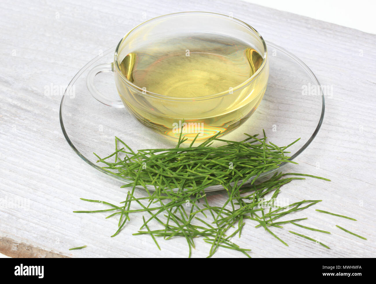 Horsetailtea, Tea, Medicinal tea, herbtea, Medicinal plant, Equisetum