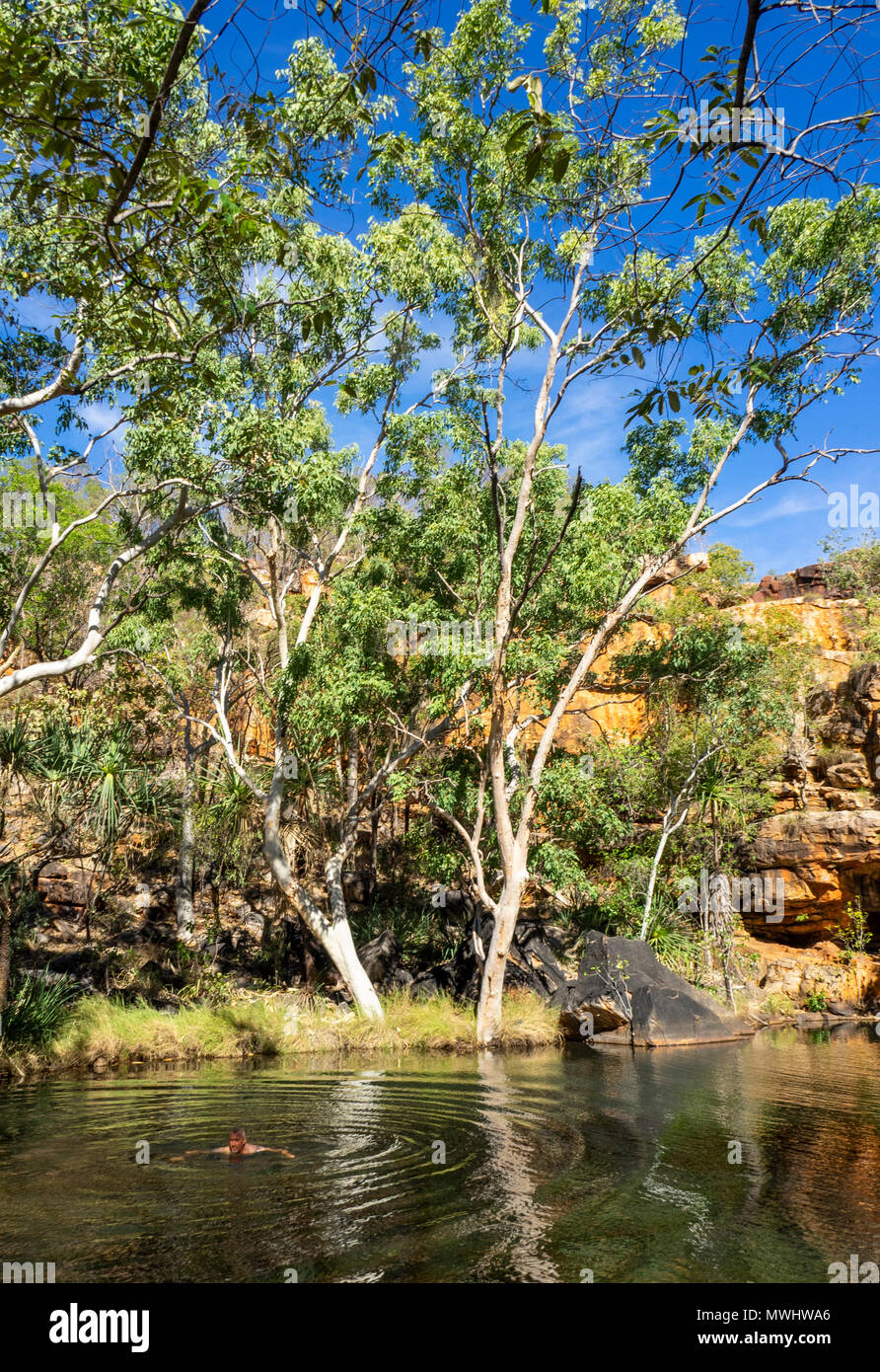 gum trees beside a swimming with a man swimming in the Kimberley WA Stock Photo -