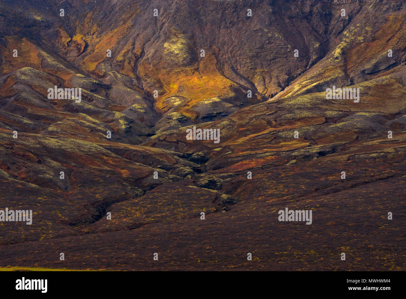 colors of autumn in the icelandic highlands Stock Photo