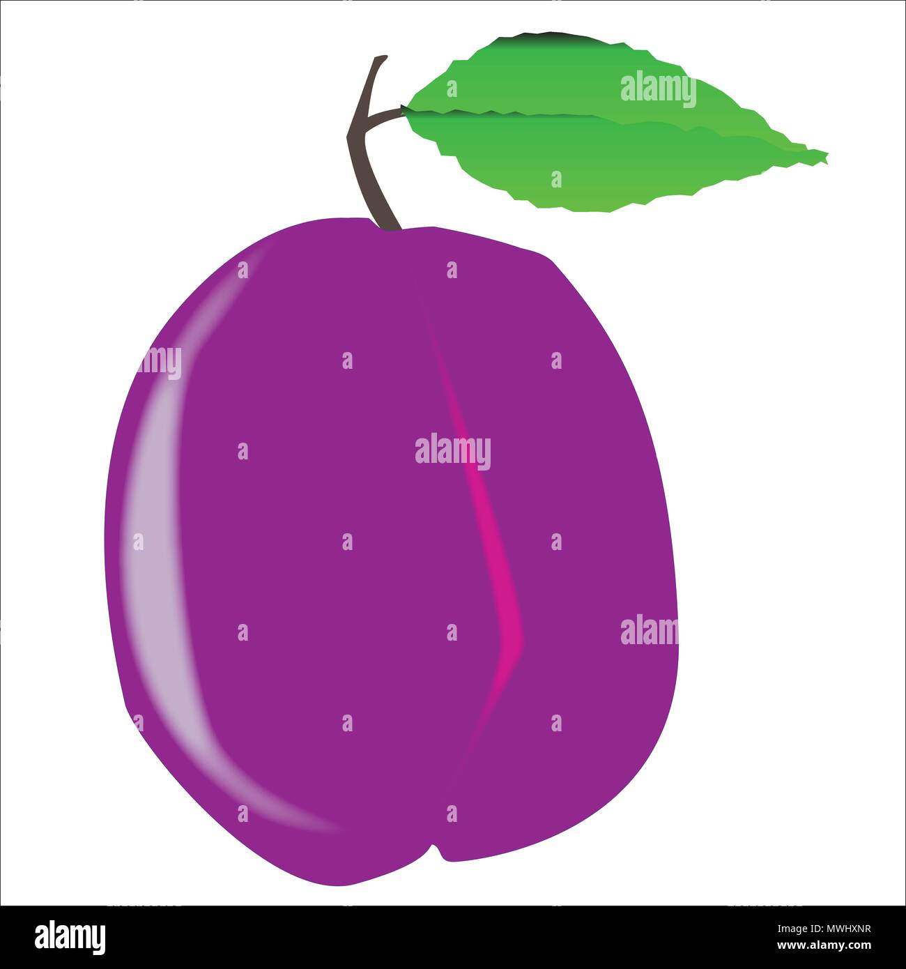 A sole purple isolated plum with green leaf and stalk Stock Vector