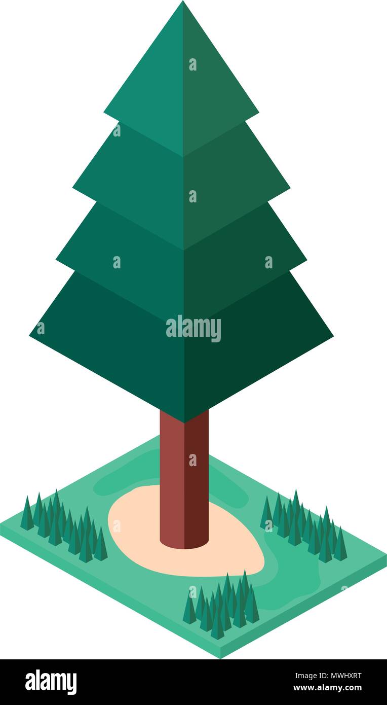 pine tree plant with grass isometric icon Stock Vector
