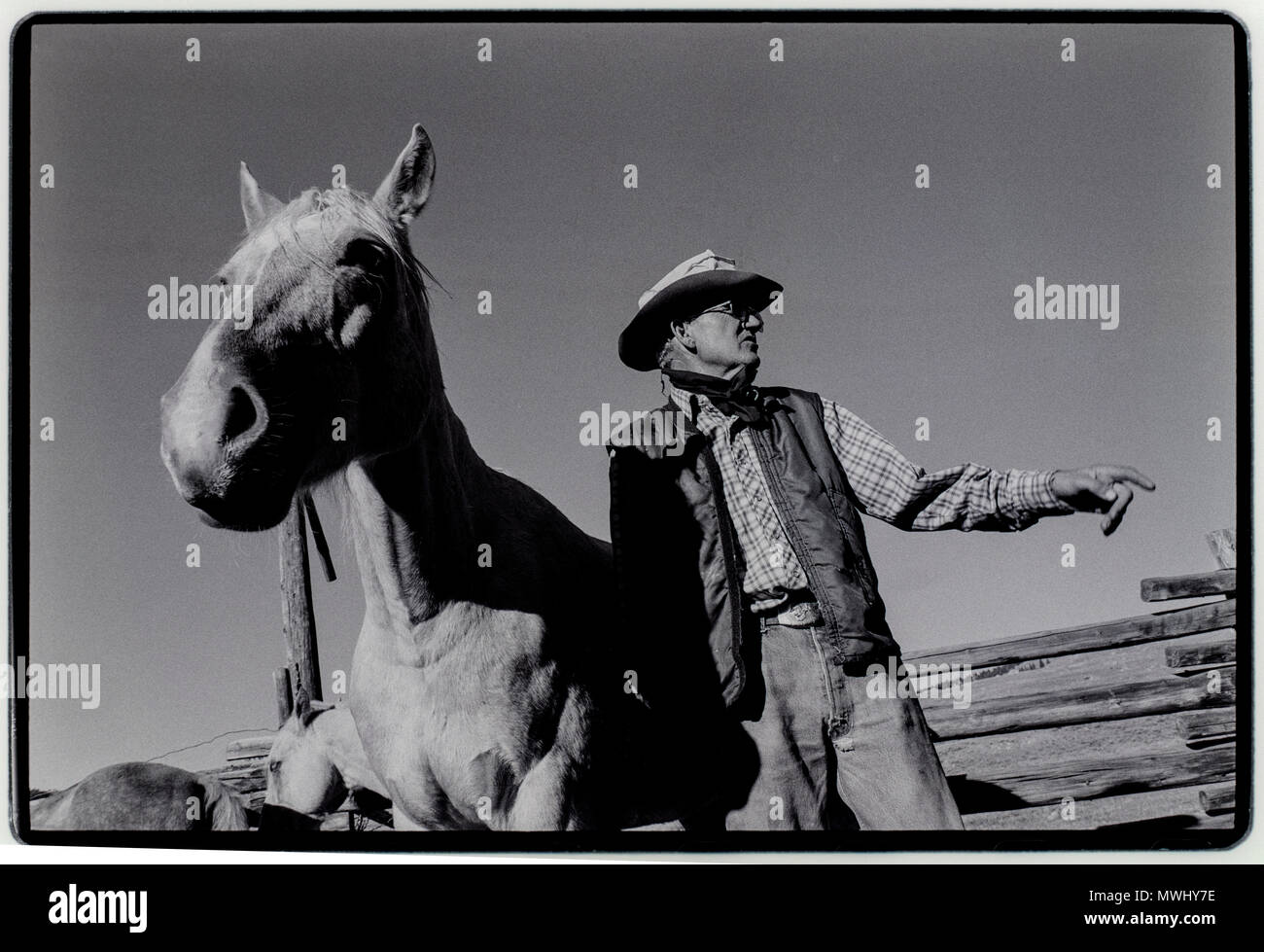 Wyoming USA Cowboy with horses at a ranch Stock Photo