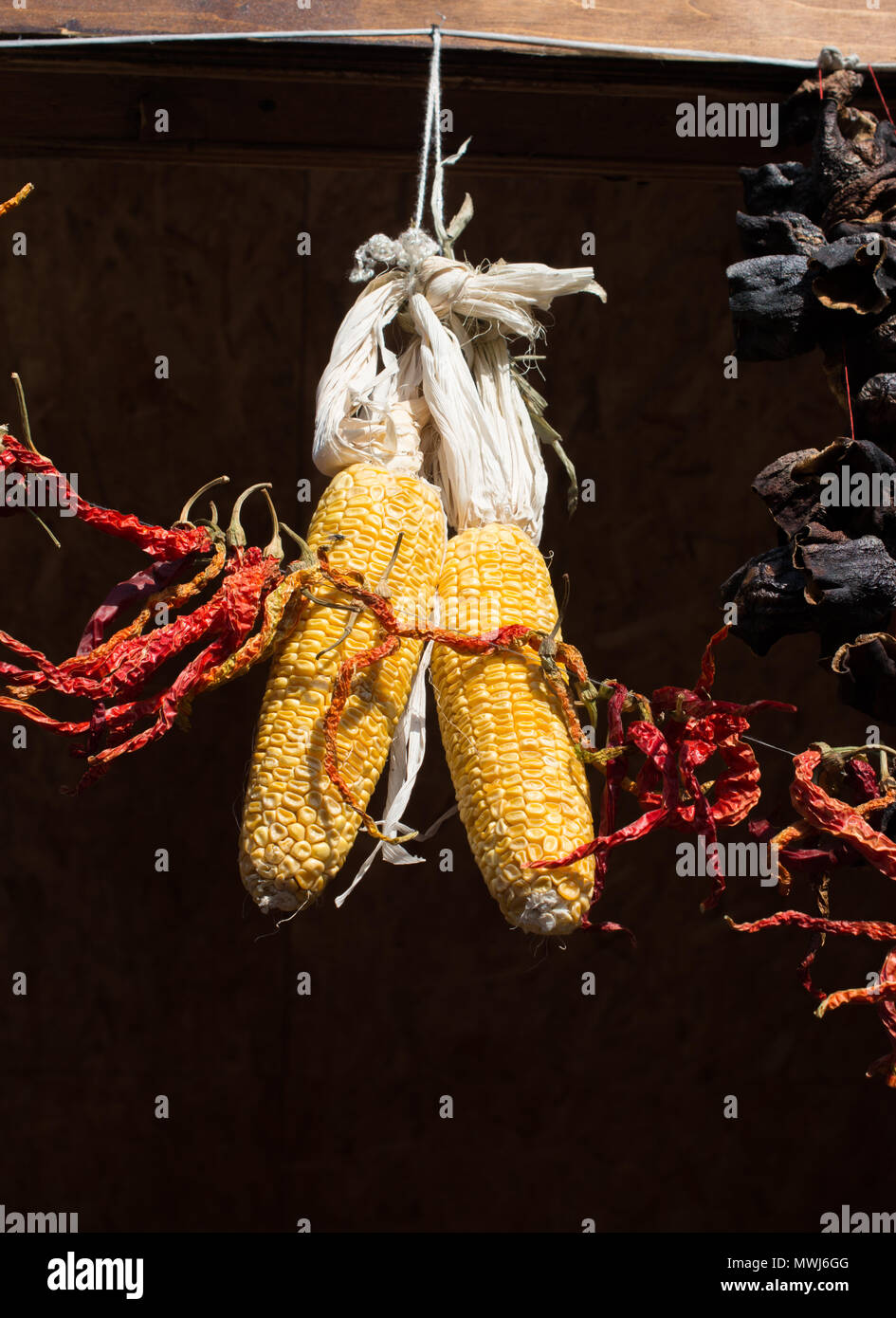 Dry corn on the cob kernels are peeled Stock Photo Alamy