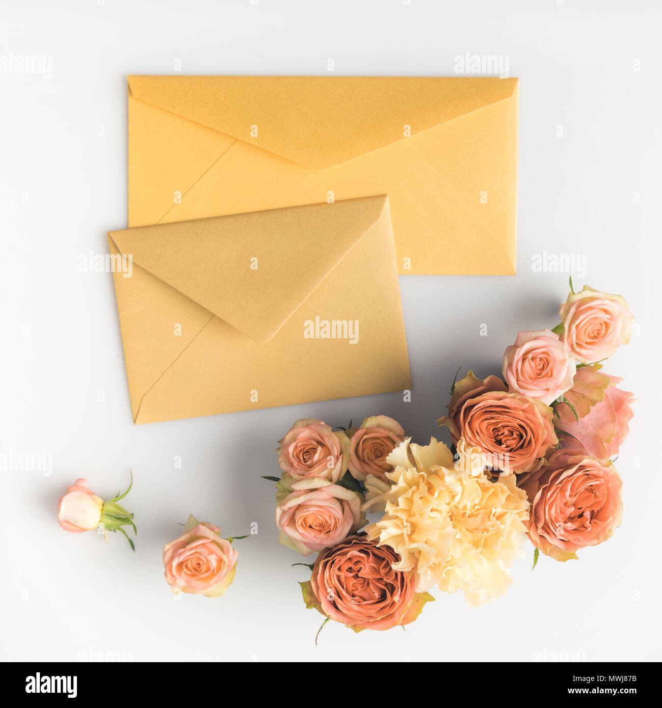 beautiful pink roses and envelopes isolated on white Stock Photo