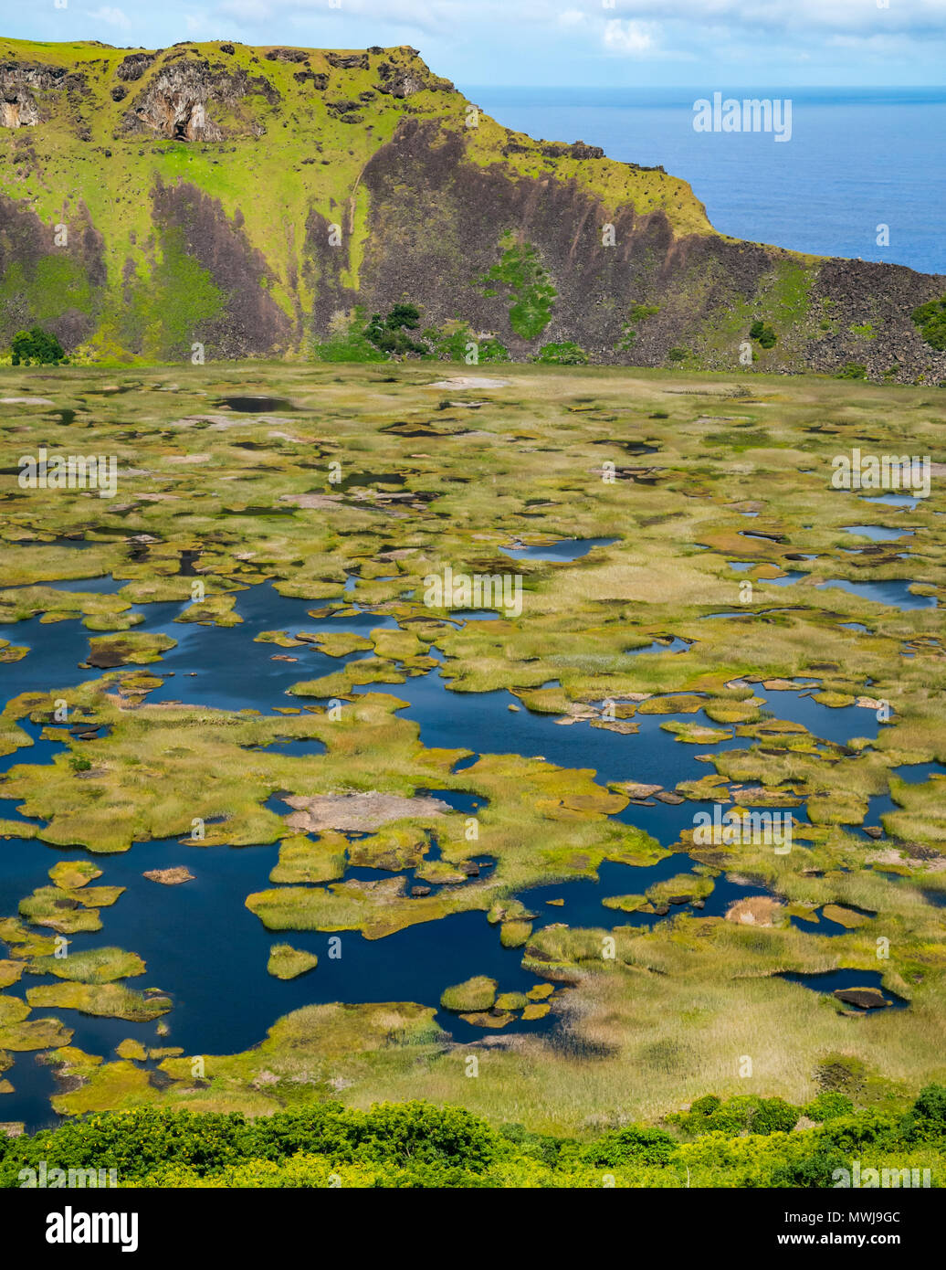 Crater rim, Rano Kau extinct volcano, with wetland in crater, Easter Island, Rapa Nui, Chile Stock Photo