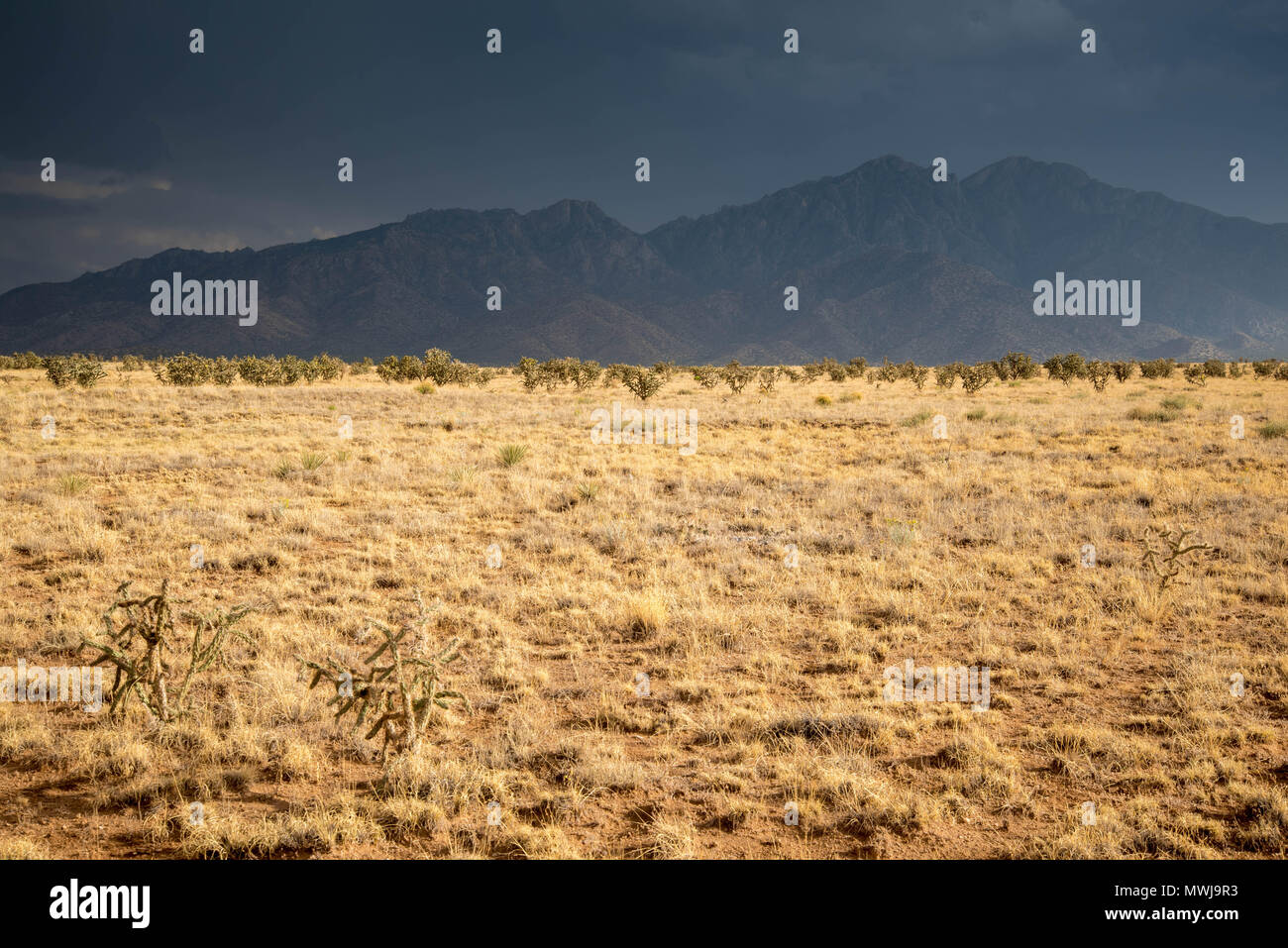 Sierra Ladrones during a rainstorm, Socorro co., New Mexico USA. Stock Photo
