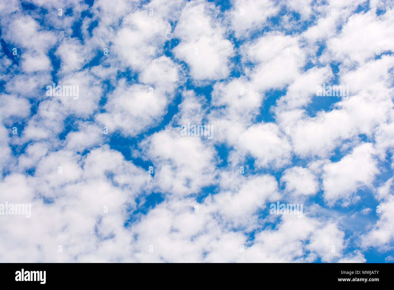 Beautiful white clouds on a sunny day Stock Photo - Alamy