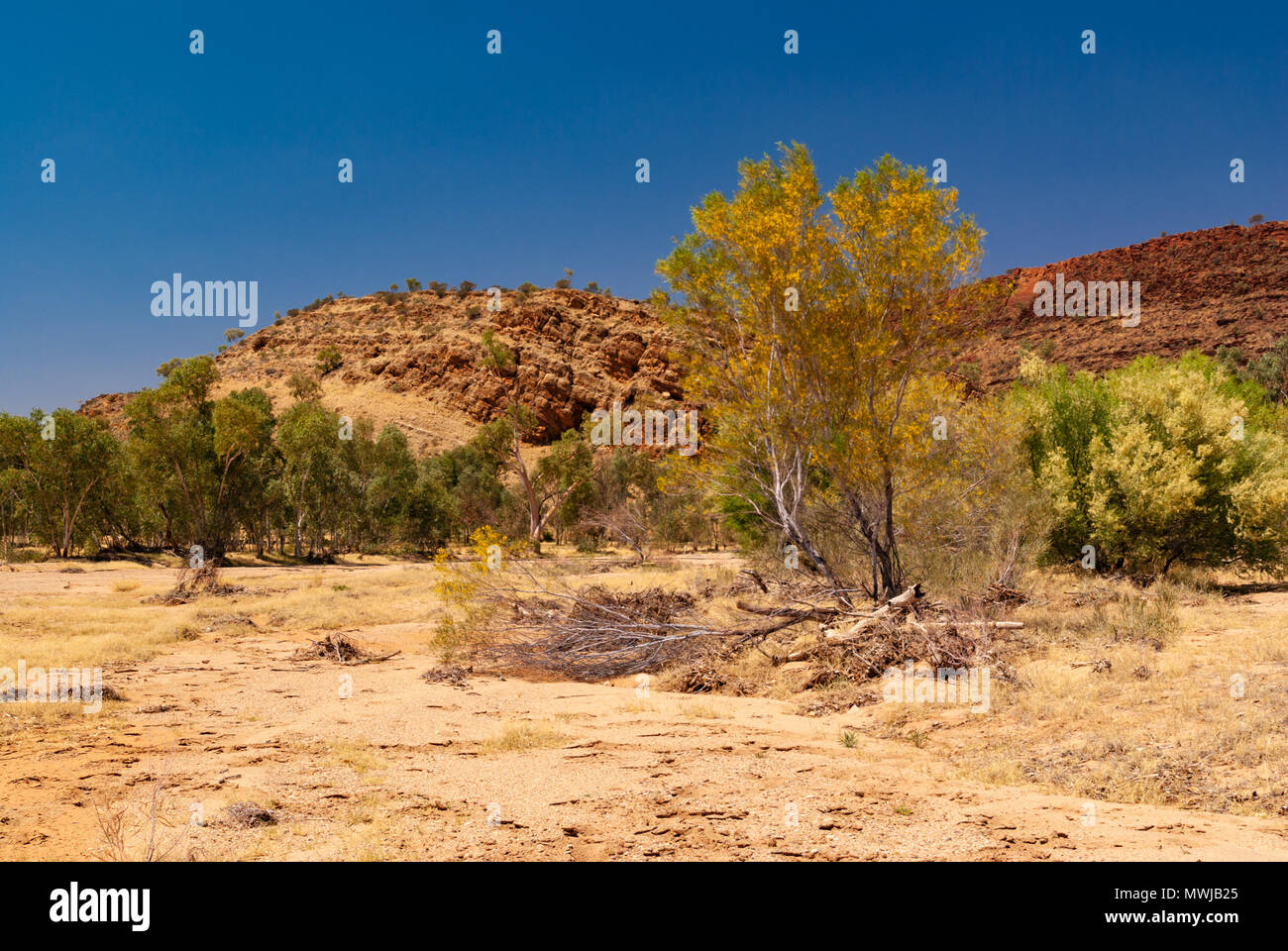 East MacDonnell Ranges near Alice Springs, Northern Territories, Australia Stock Photo Alamy