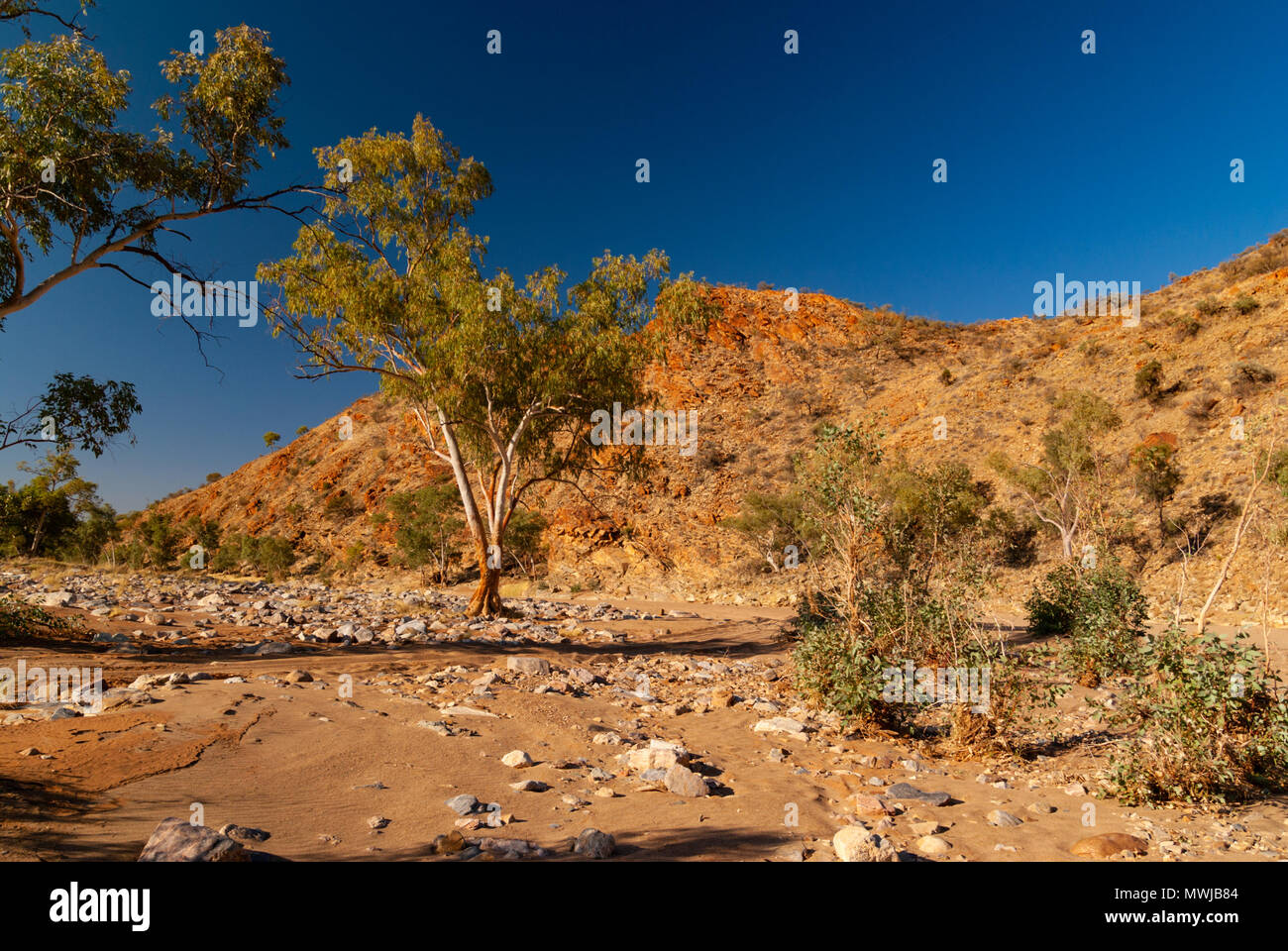 Ruby Gap Nature Park in East MacDonnell Ranges near Alice Springs, Northern Territories
