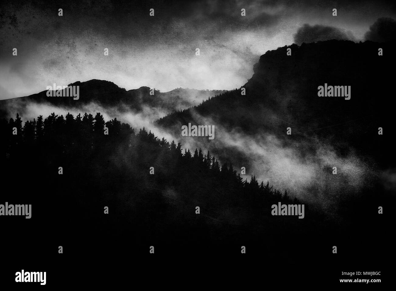 dark landscape with foggy forest at night and grungy textures. Black and white Stock Photo