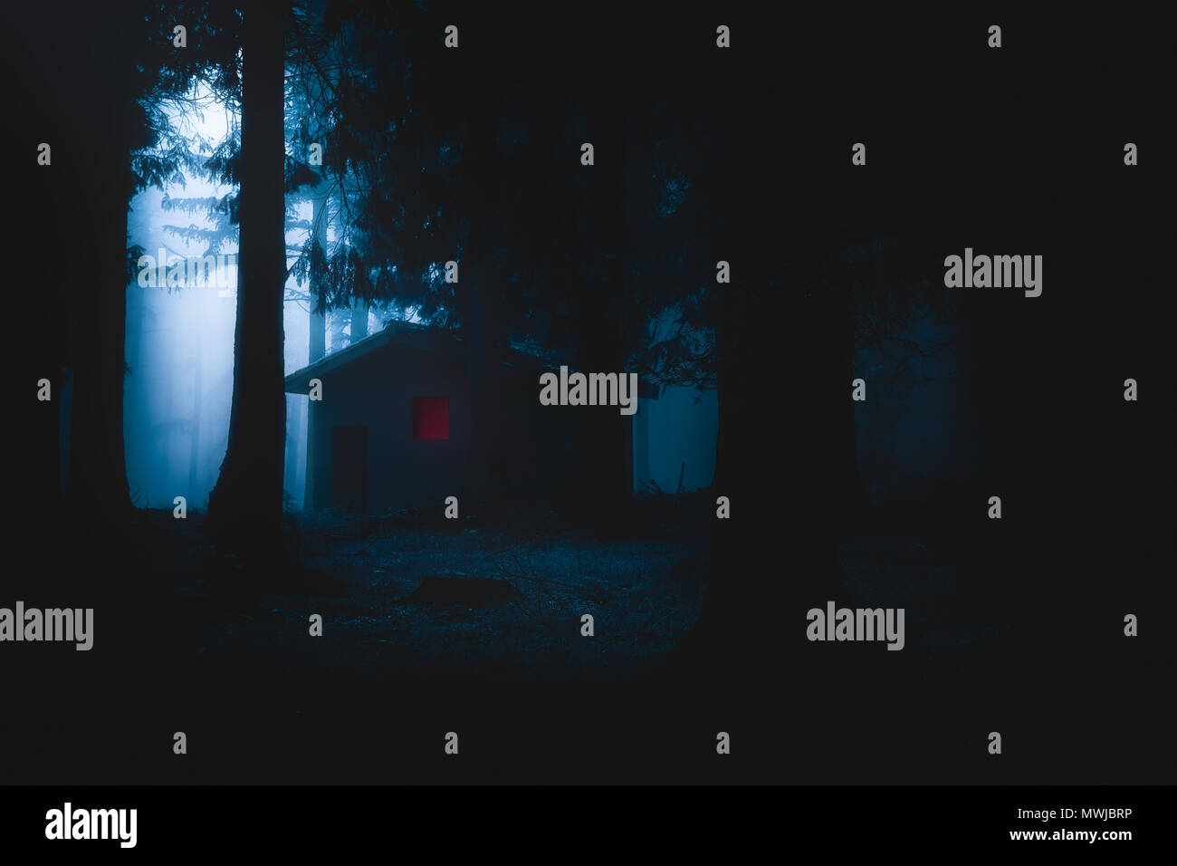 scary house illuminated in mysterious horror forest at the night Stock Photo