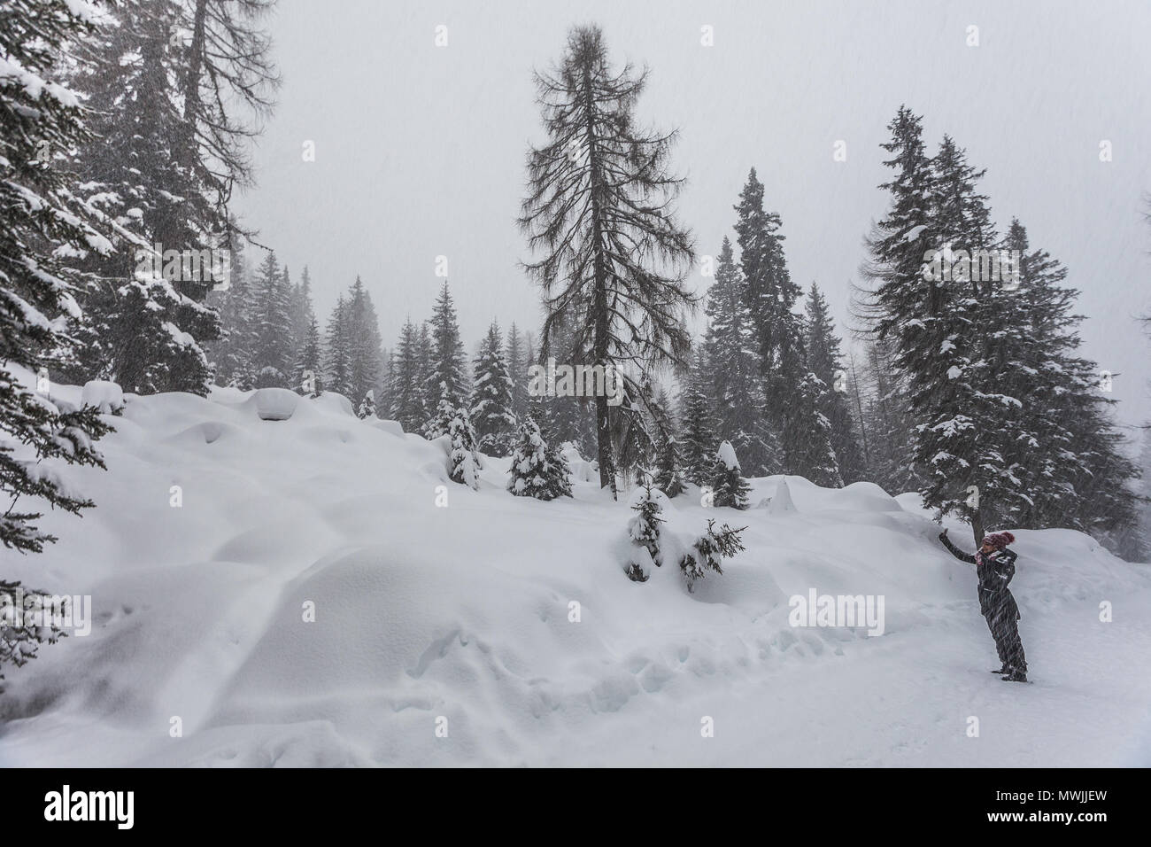 SELVA DI CADORE, ITALY - JANUARY 03 2018: Girl making a photo with her cell phone under a heavy snowfall Stock Photo