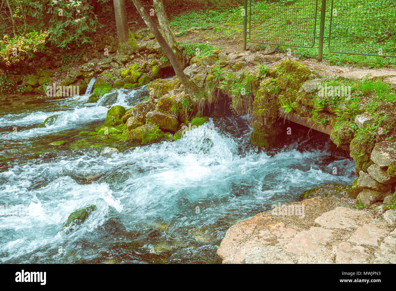 The of the river in nature park Vrelo Bosne near Sarajevo, Bosnia and Herzegovina Stock Photo - Alamy