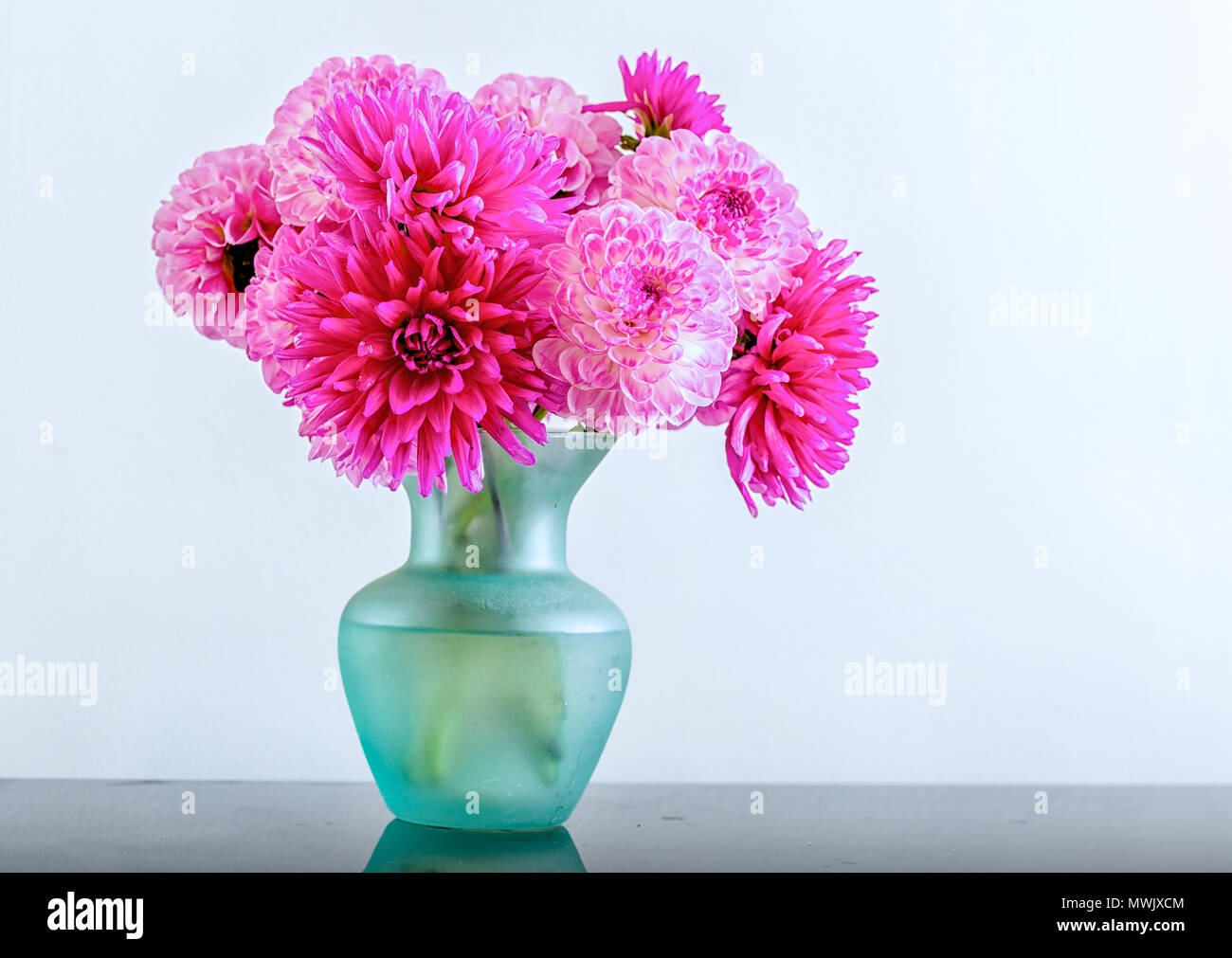 A mixture of pink dahlias in a turquoise vase. Stock Photo