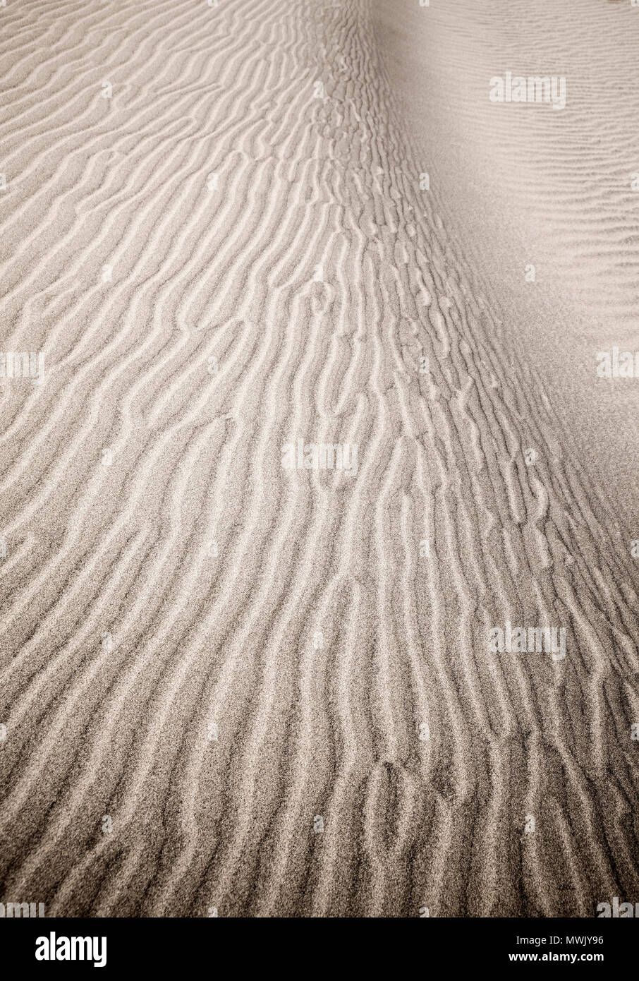 sand and wind patterns on dune surface. Pattern is formed by two types of sand grains - dark, small and lightweight and larger lighter and heavier one Stock Photo