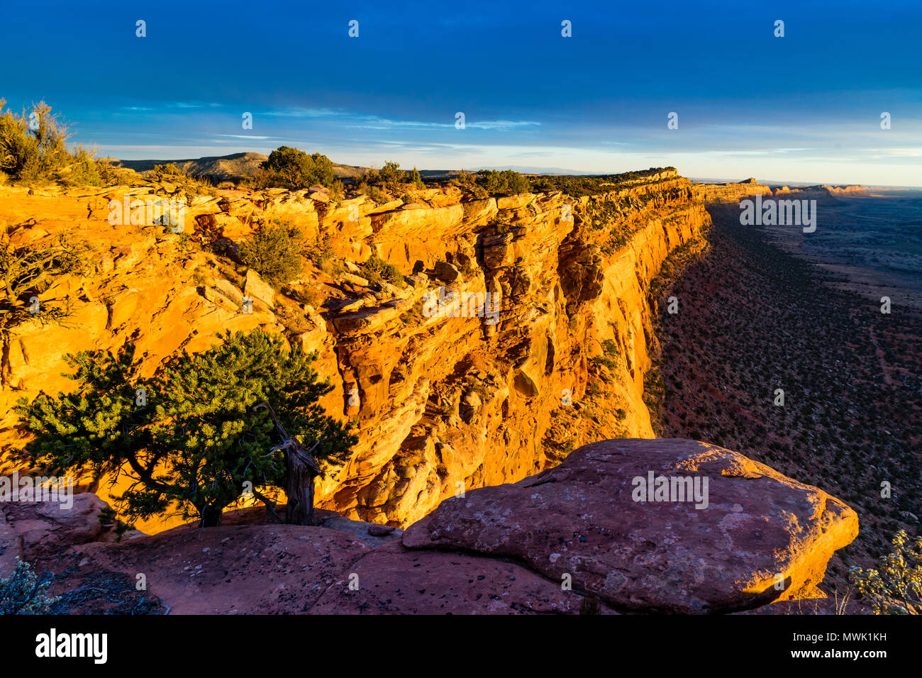 View south along Comb Ridge cliff from top in sunset light, Comb Wash below, north of Highway 95 west of Blanding, Utah and north of Bluff, Utah USA Stock Photo