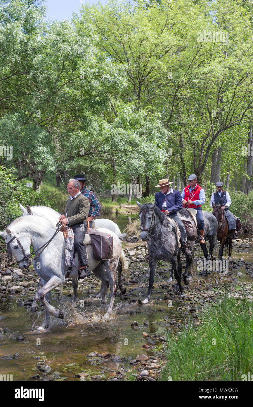 Andujar, Jaen Province, Andalusia, Spain. Annual Romeria of La Virgen de la Cabeza. Horses and riders refreshing themselves in the Jandula river. Stock Photo