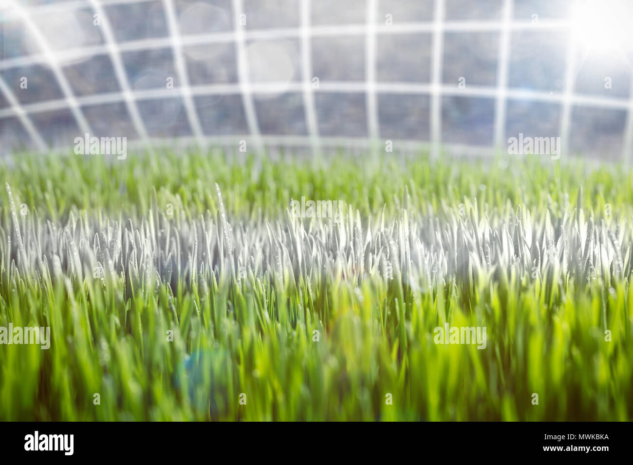 Football marking hi-res stock photography and images - Alamy