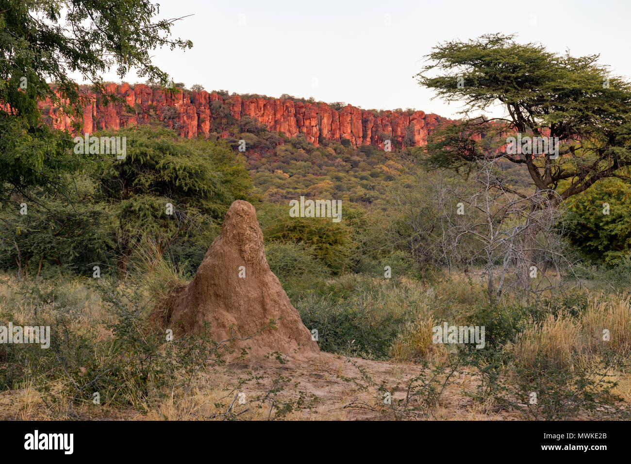 Waterberg Plateau Park, Namibia, Africa Stock Photo