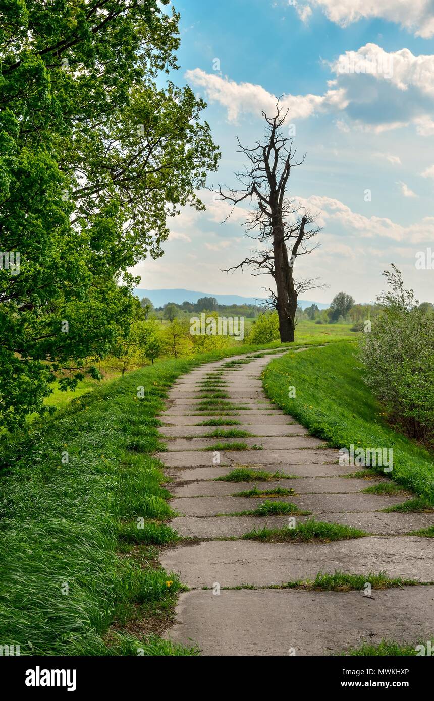 Beautiful spring landscape. Concrete road in the countryside Stock ...