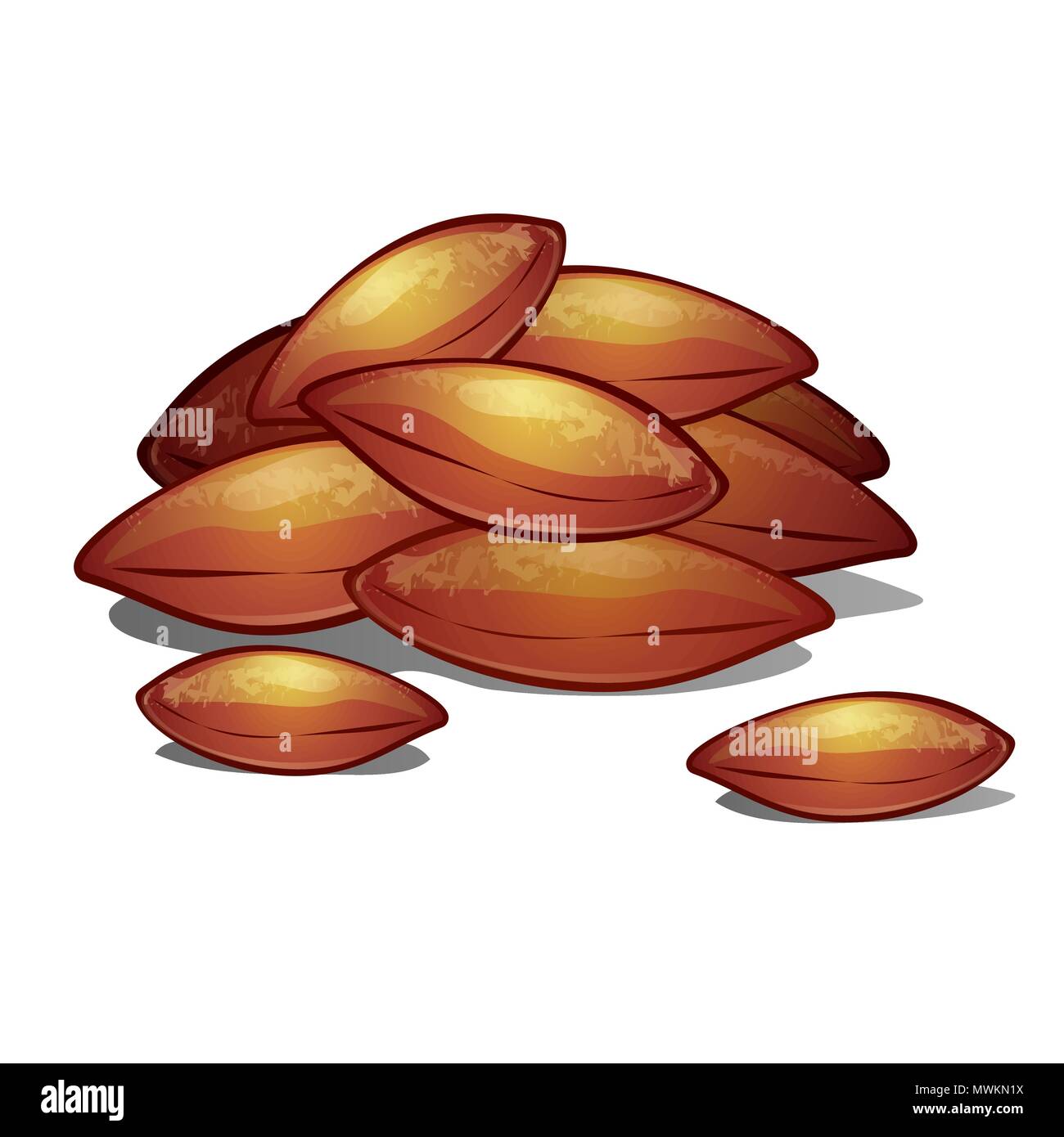 Peach pits Stock Vector Images Alamy