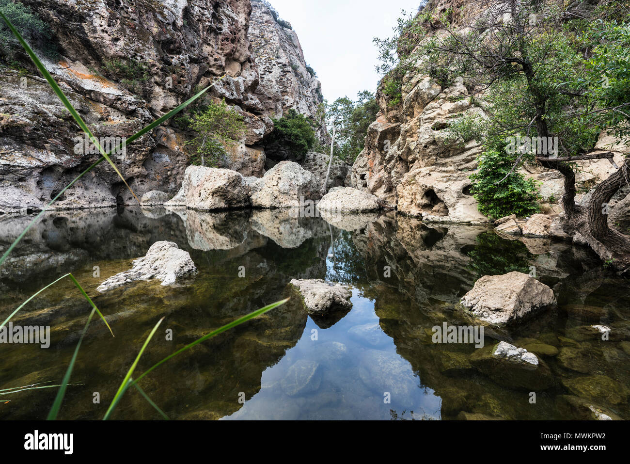 Rock Pool picnic area at Malibu Creek State Park in the Santa Monica