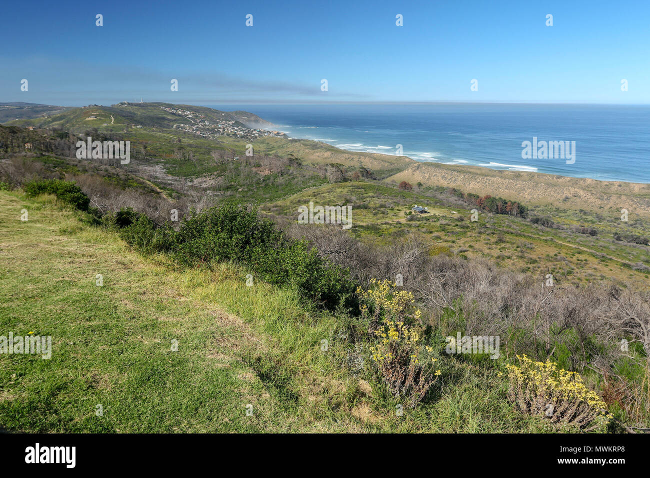 Fynbos and sea at BrentononSea, Eden District Municipality, Western
