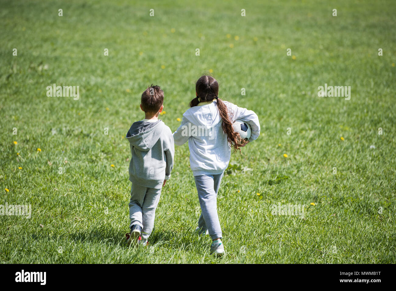 rear view of sister and brother walking with ball on grass Stock Photo ...