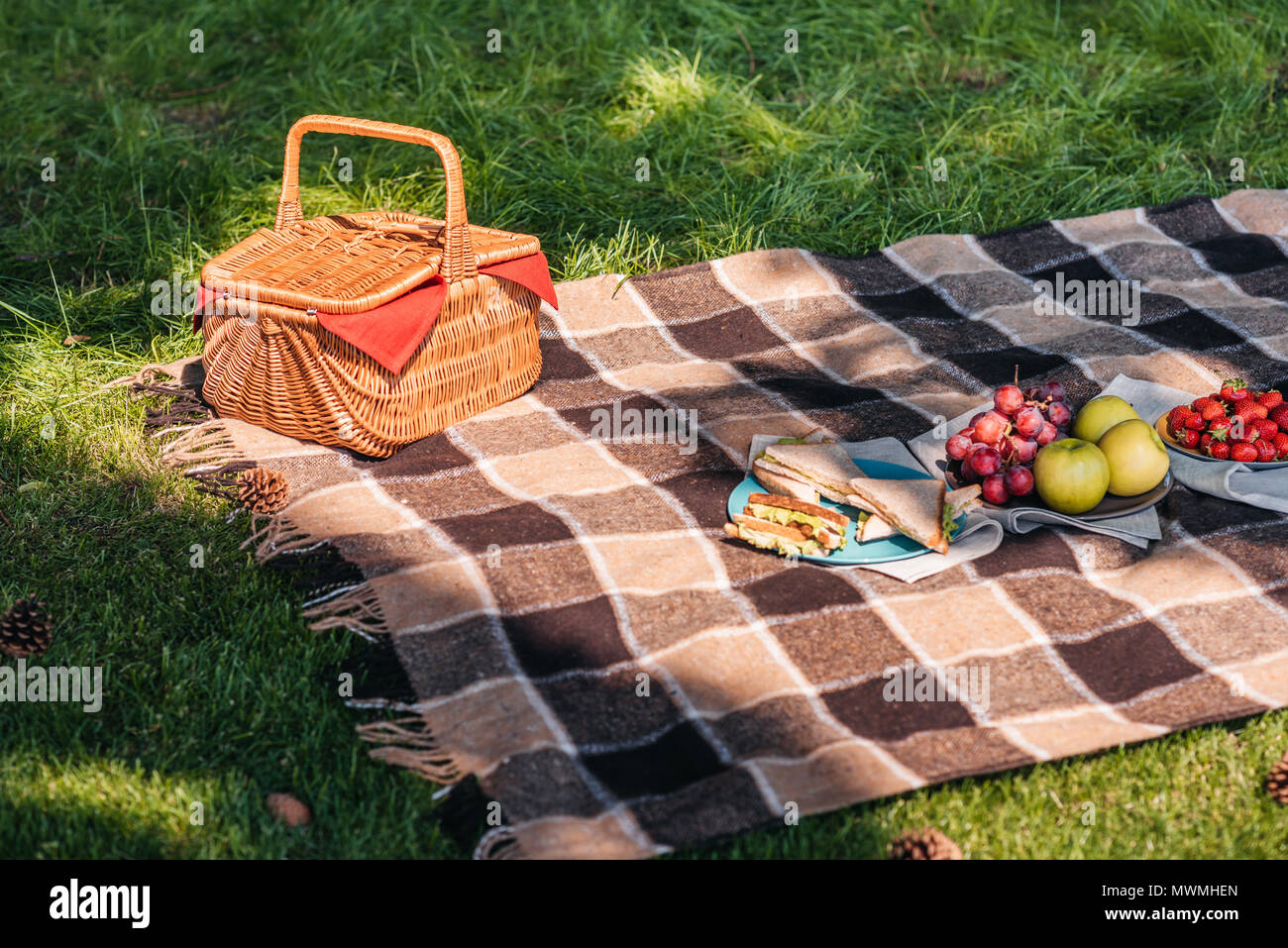 Picnic Pussies