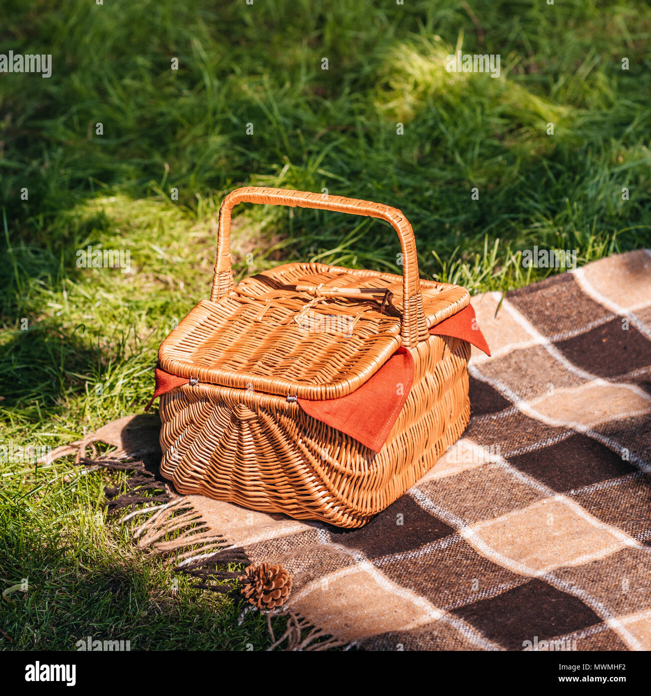 Close-up view of wicker picnic basket and plaid on green grass Stock ...