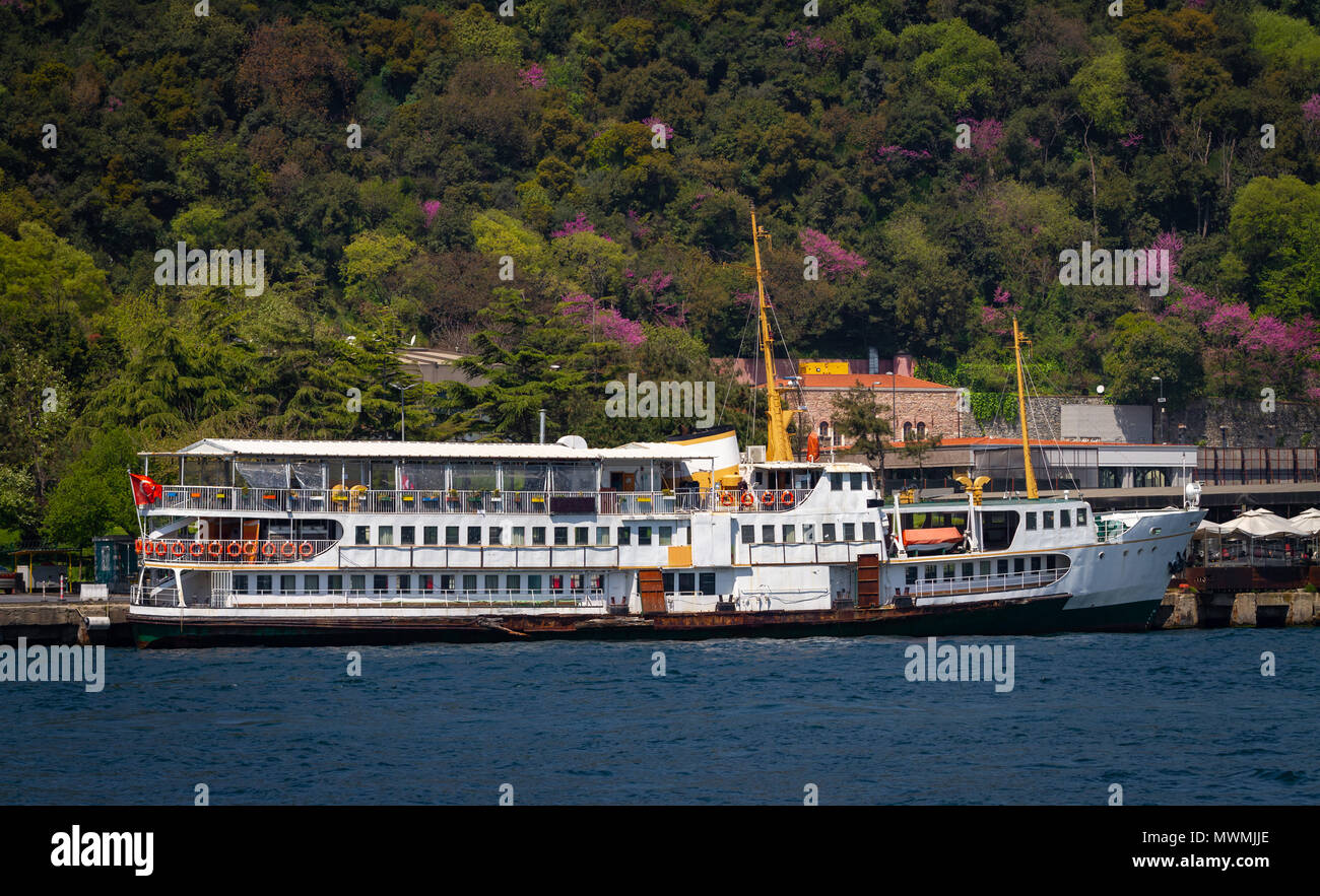 Ferry in Bosphorus Strait, Istanbul City, Turkey Stock Photo - Alamy