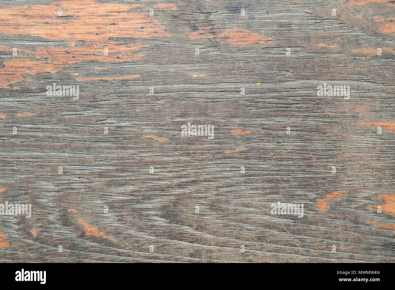 Close up texture of wood background Stock Photo - Alamy