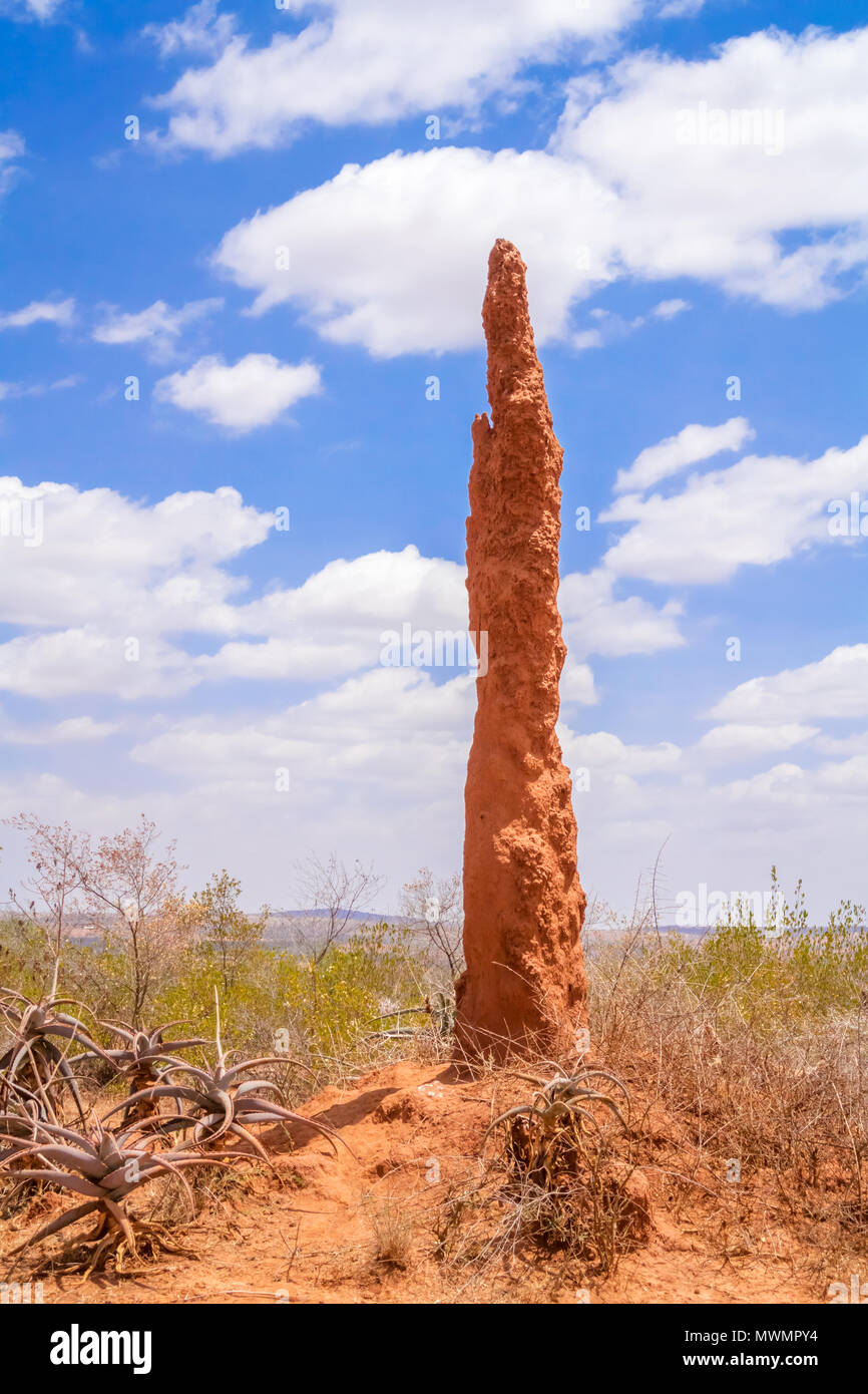 Huge termite mound of red earth near Yabello  in Ethiopia Stock Photo