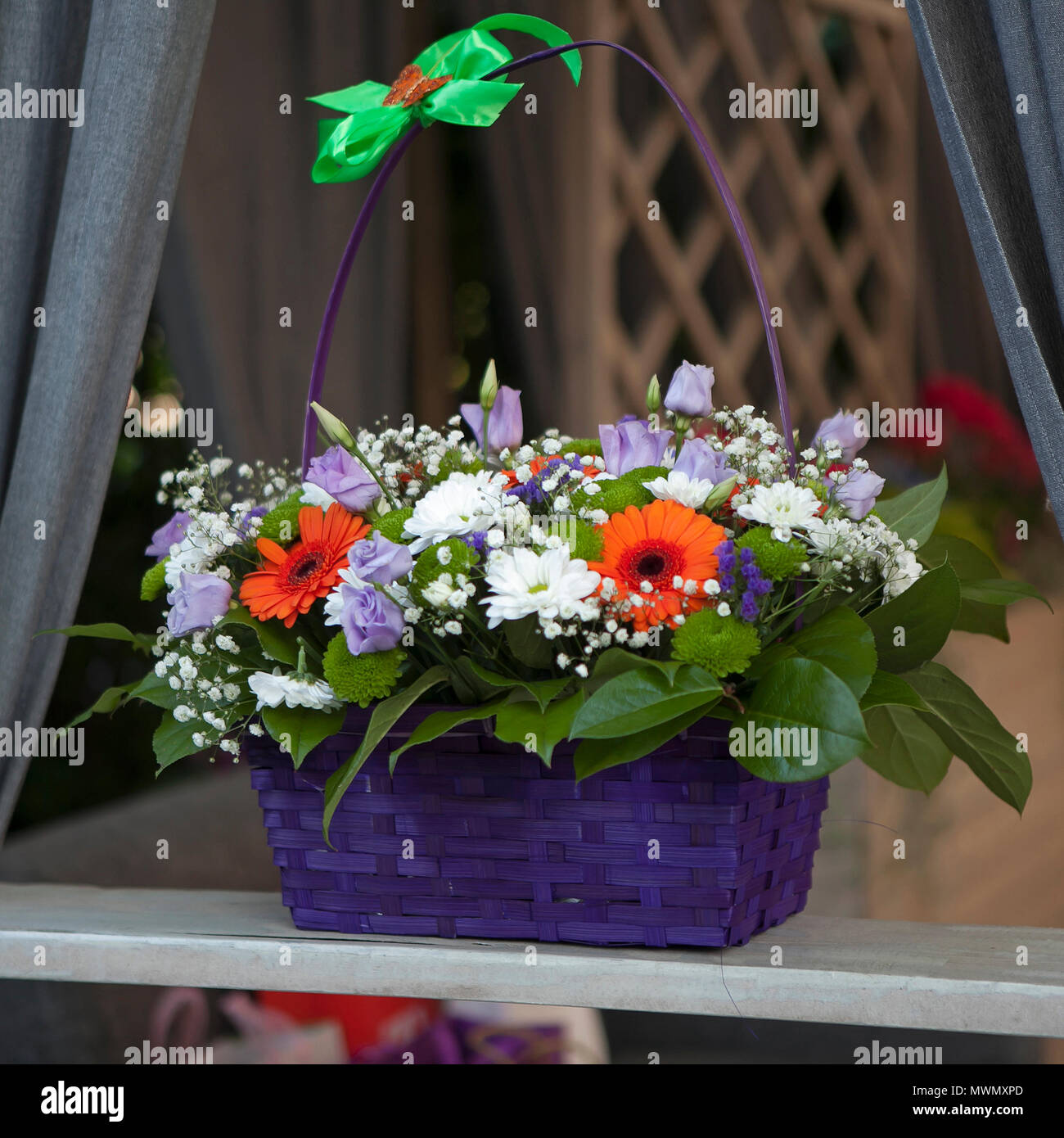 Colored Freesias and Gypsophila Bouquet Colored Freesias and Gypsophila Bouquet
