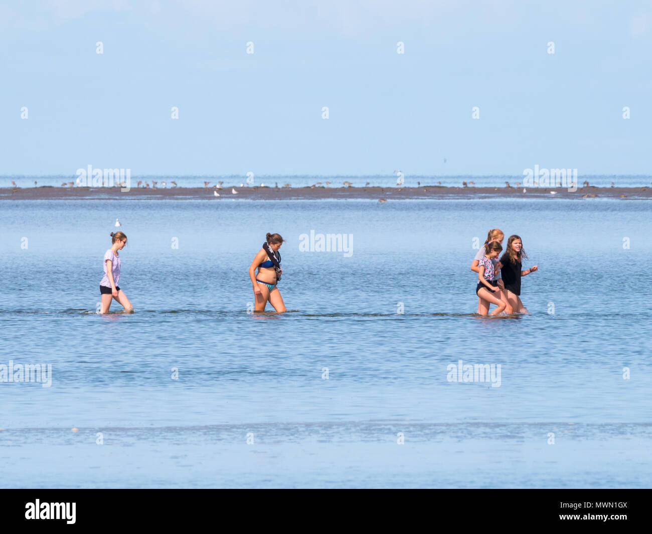 People wading people wading hires stock photography and images Alamy