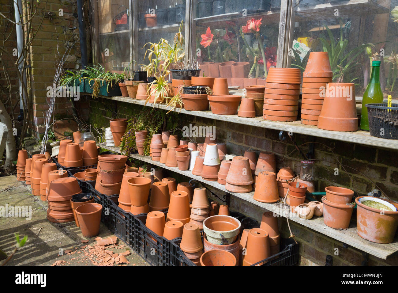 A variety of terracotta pots of various sizes stacked on shelves Stock Photo Alamy