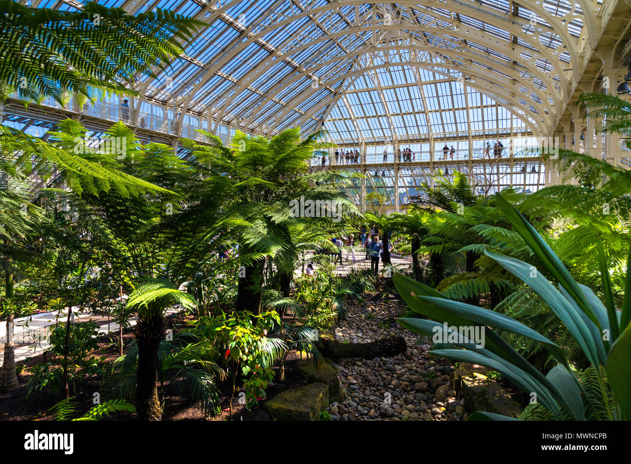 Newly refurbished and reopened Temperate House in Kew Gardens, London, UK Stock Photo