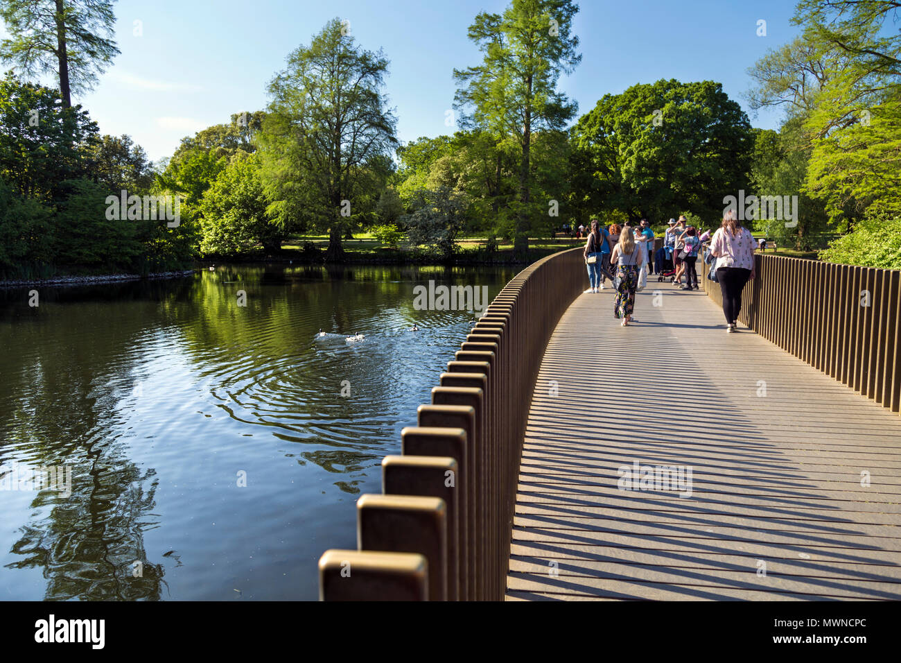 Sackler Crossing Bridge over the lake in Kew Gardens, London, UK Stock Photo