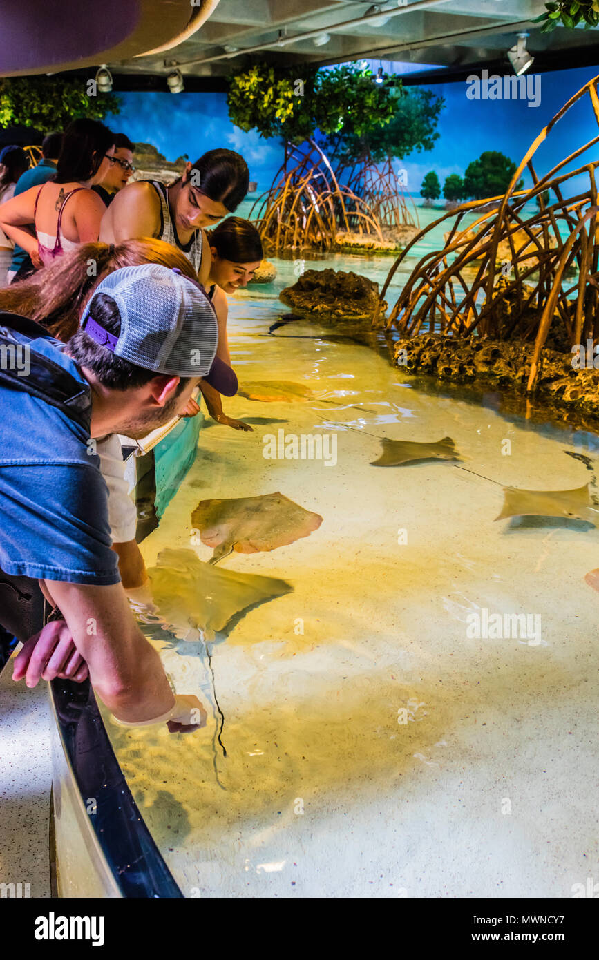 New England Aquarium Boston, Massachusetts, USA Stock Photo Alamy