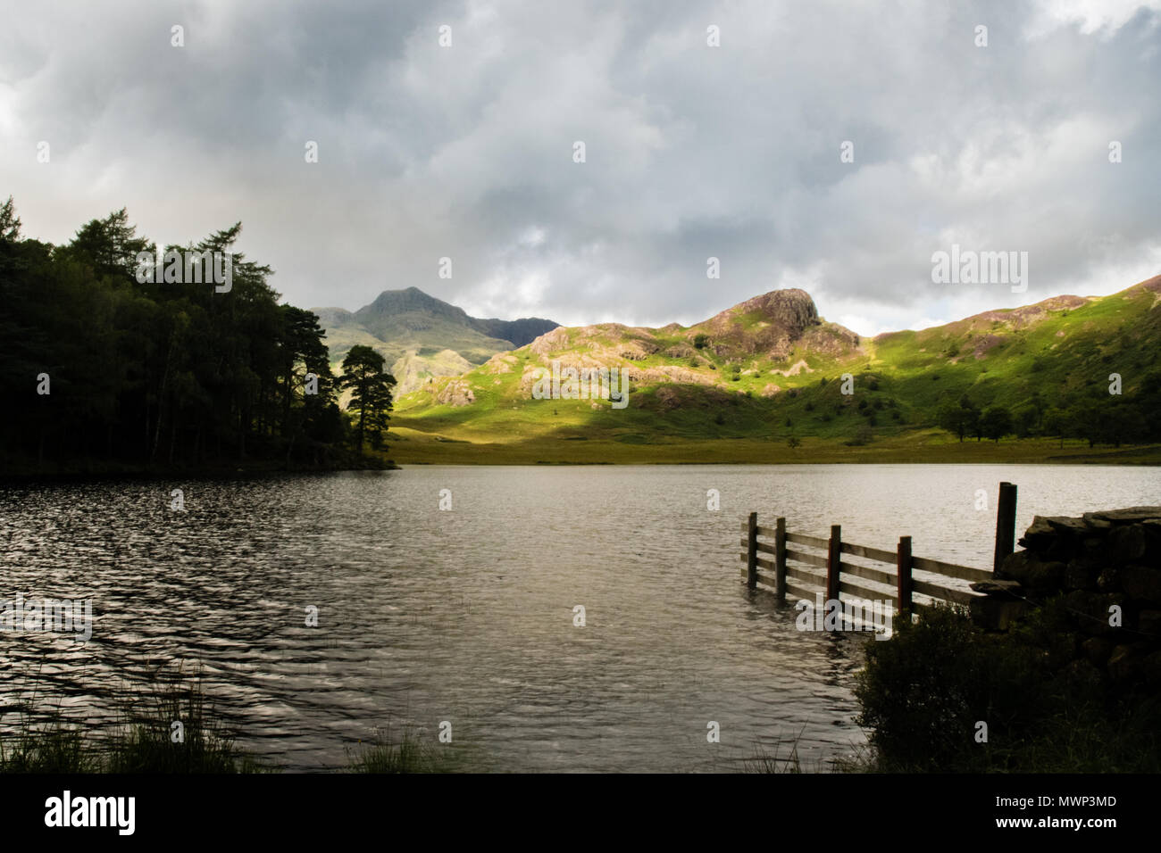 Blea Tarn, Langdales, Lake District, UK Stock Photo Alamy