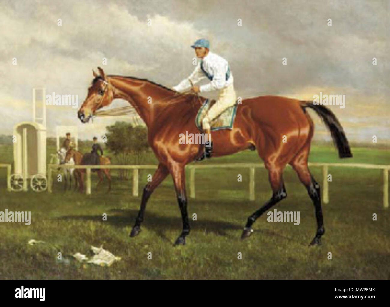 Sportif ultima coleccion clearance ragged