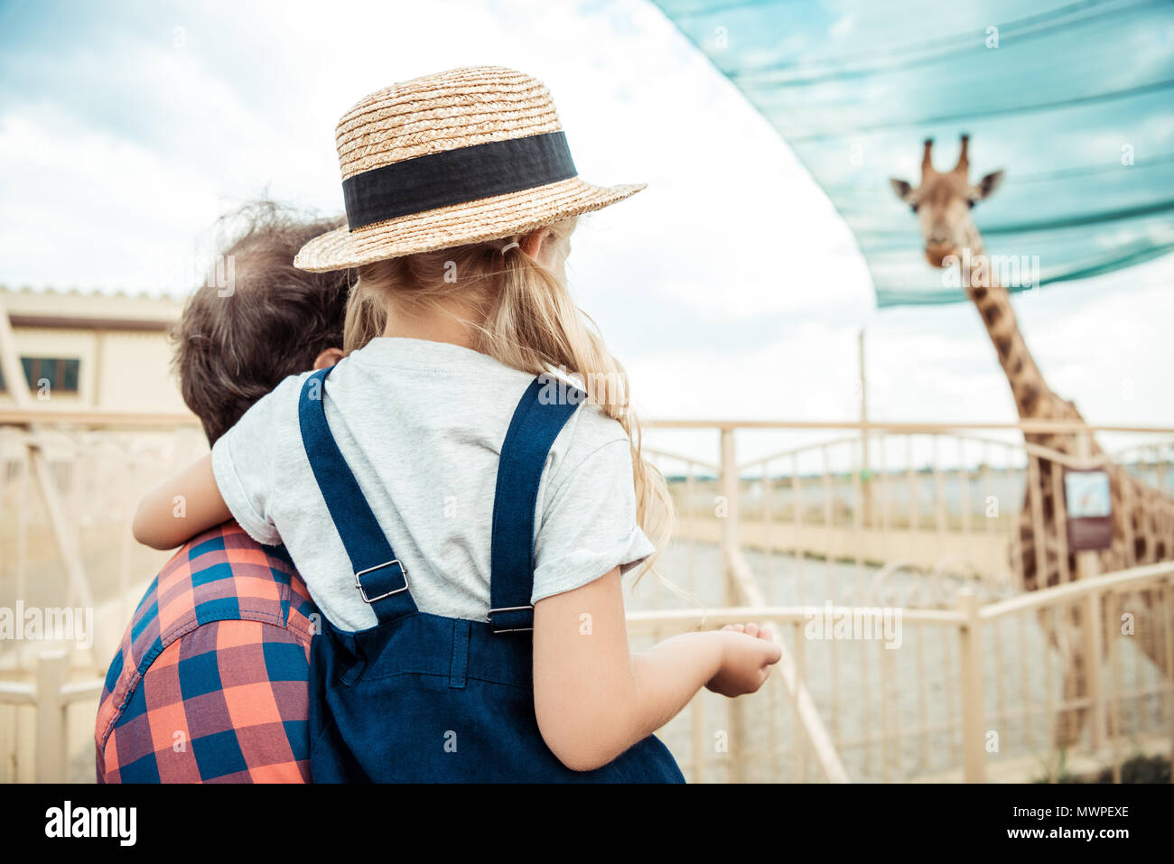 back view of father and little daughter looking at reticulated giraffe ...