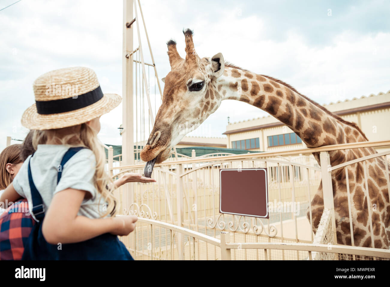 father and little daughter looking at reticulated giraffe in zoo Stock ...