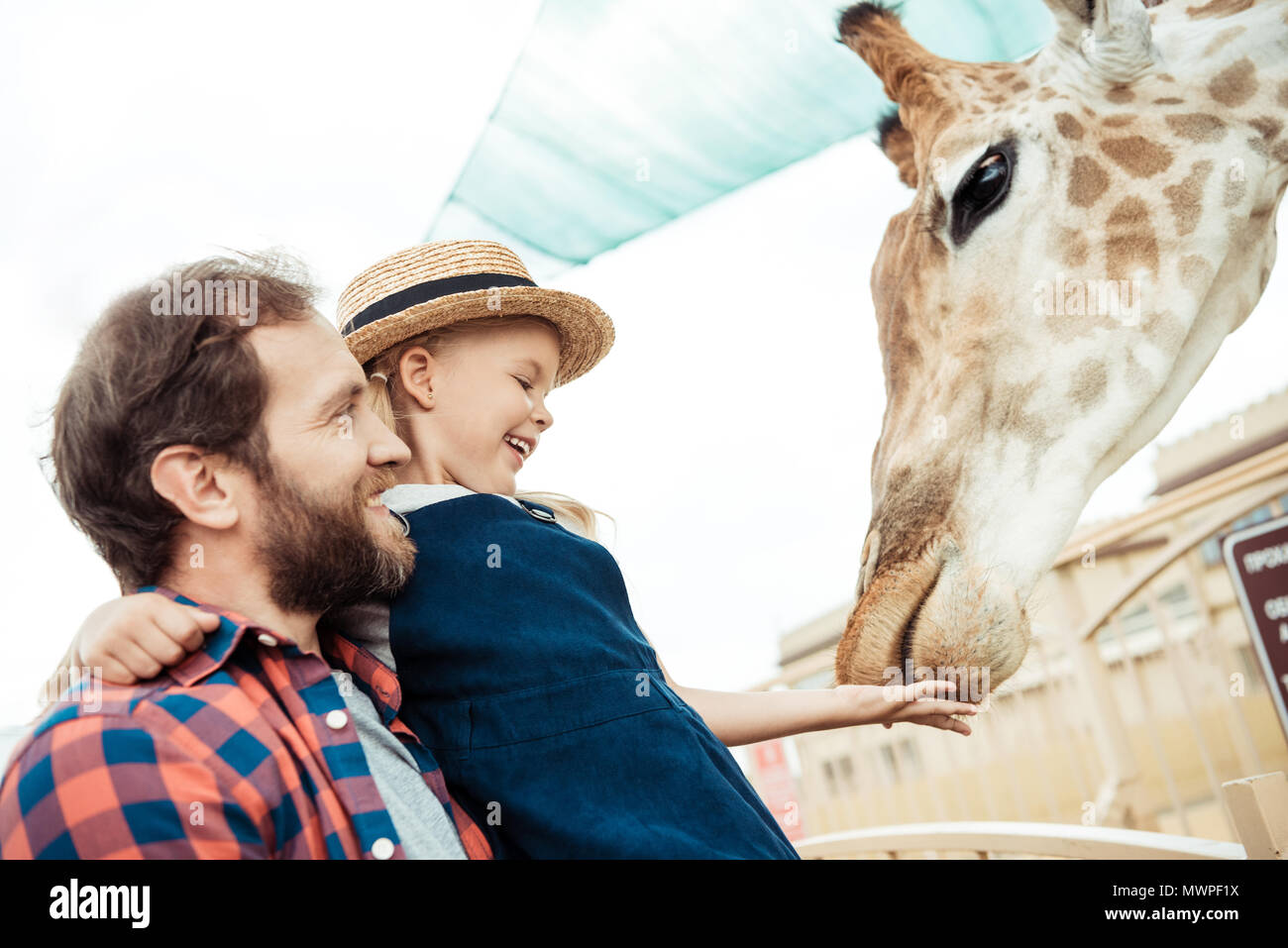 side view of father and happy little daughter feeding giraffe in zoo ...