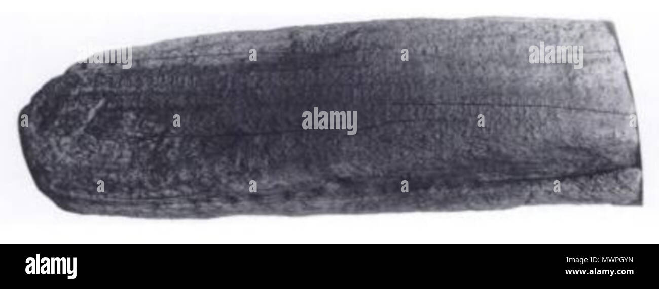 . One of 26 rongorongo tablets that may be authentic. prehistoric ...