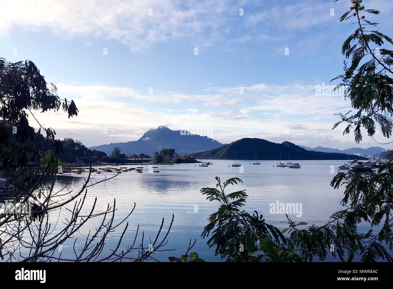 The natural landscape photography tree, mountain and lake Stock Photo ...