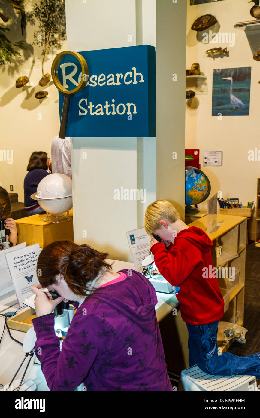 Washington DC,National Museum of Natural History,science,nature,research station,education,hands on,interactive,microscope,girl girls,female kid kids Stock Photo