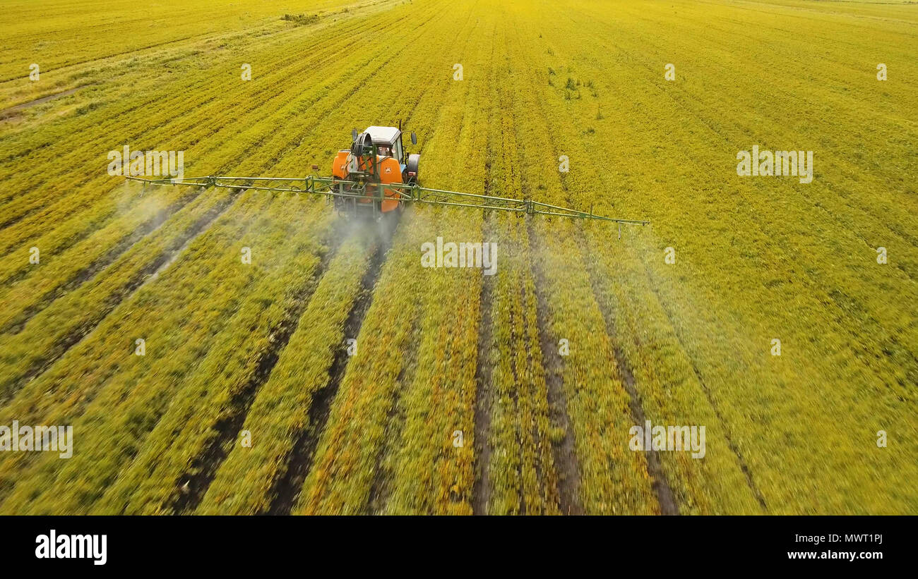Aerial view tractor spraying the chemicals on the large green field